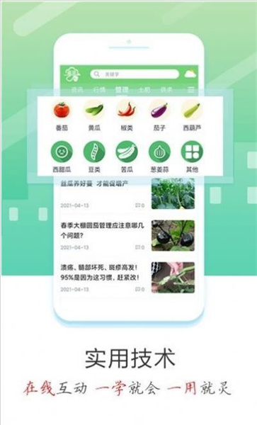 蔬菜云(3)