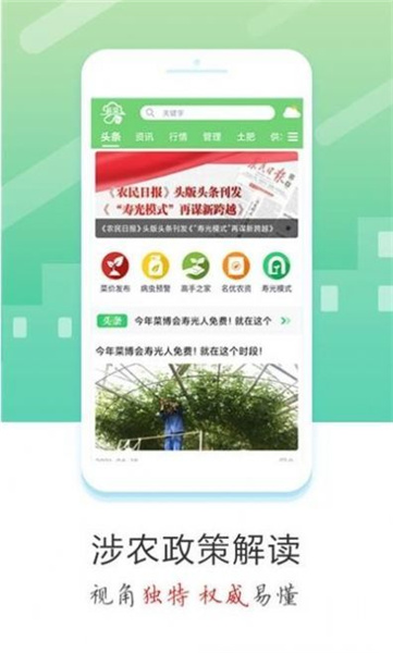 蔬菜云(4)