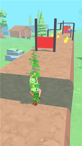 植物赛跑者(4)