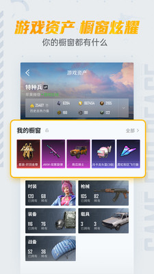 掌上和平精英app(2)