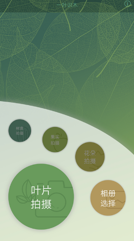 一叶识木(1)