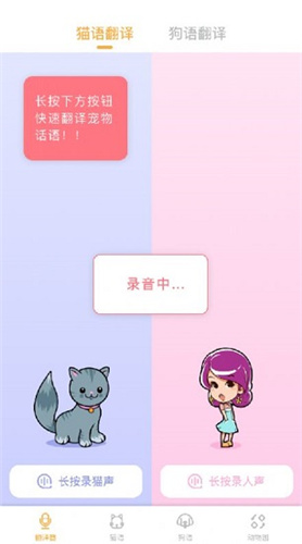 猫语翻译大师手机版(2)