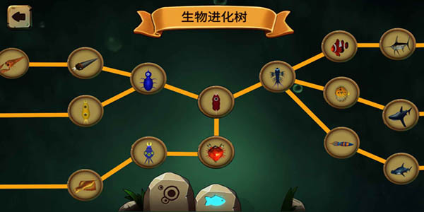 物种进化模拟器(4)