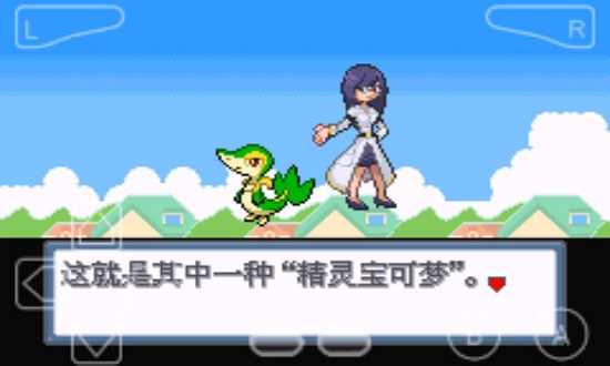 口袋妖怪白金光(1)