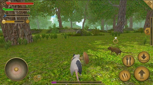 老鼠模拟器中文版(4)