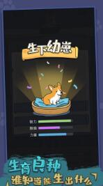 狗生模拟器(4)
