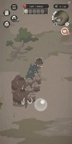 野生驯兽师(2)