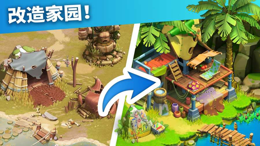 家庭岛正版
