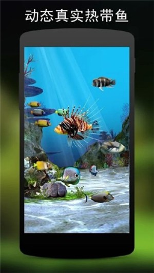 3d水族馆动态壁纸app(3)