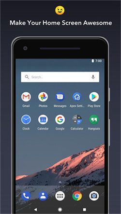 Apex Launcher pro(1)