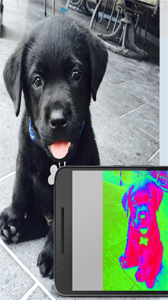 Thermal Camera(3)