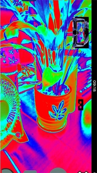 Thermal Camera(5)