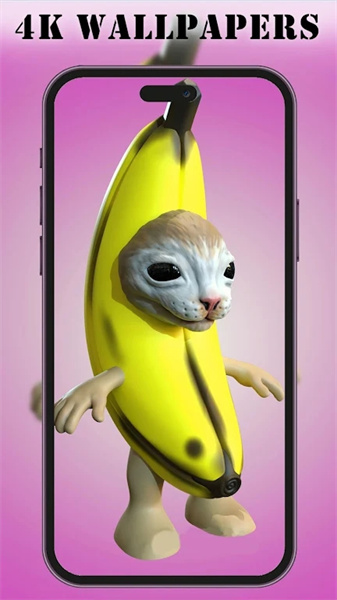 Banana Cat Wallpaper(3)