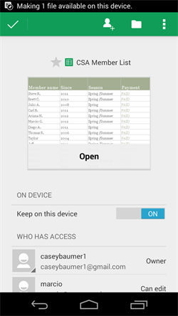 google Sheets(4)