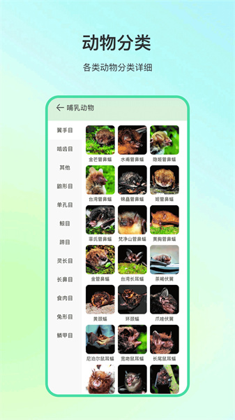 动物百科成都一站式app开发