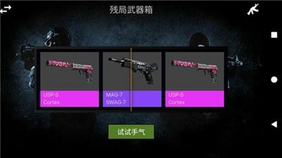 CS开箱模拟器(3)