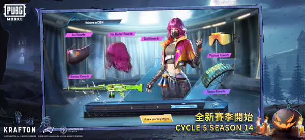 和平精英pubg国际服(5)