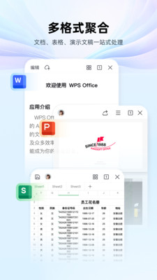 WPS Office手机版(5)