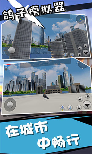 鸽子模拟器正版(4)