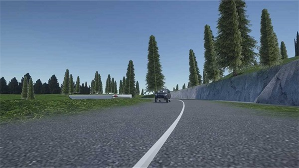 辛迪车祸模拟器mod最新版(2)