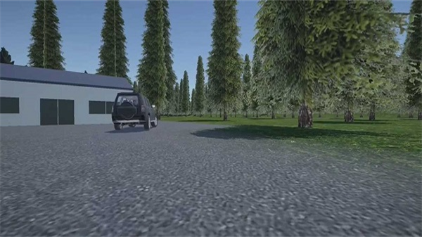 辛迪车祸模拟器mod最新版(4)