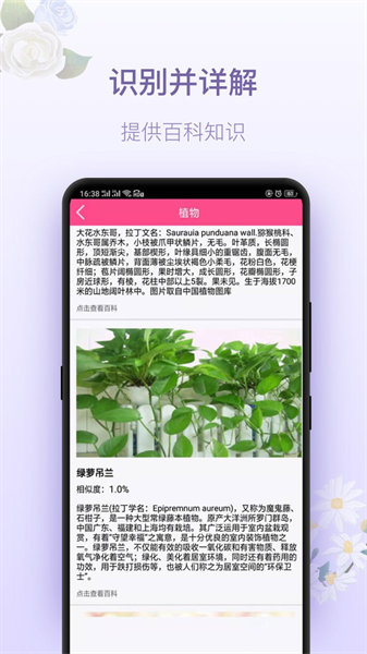 拍照识花神器手机版截图1