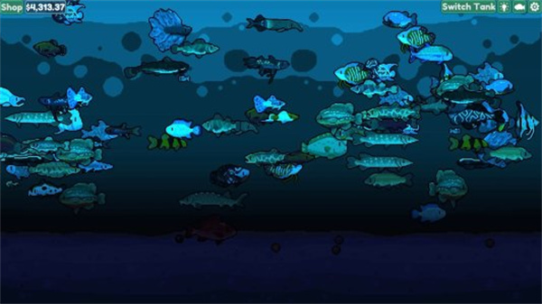 轻松水族馆正版(4)
