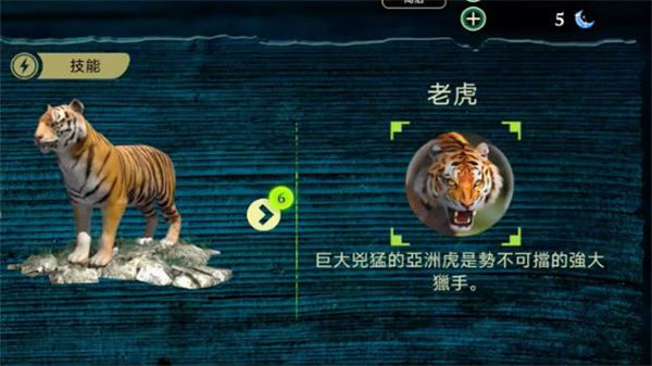 虎王模拟器中文版(4)