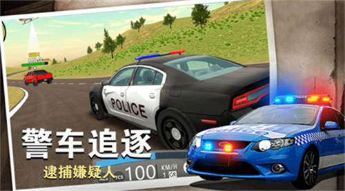 警察行动(2)
