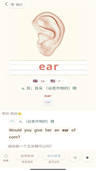 轻记单词(2)