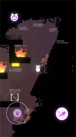 避光者(2)
