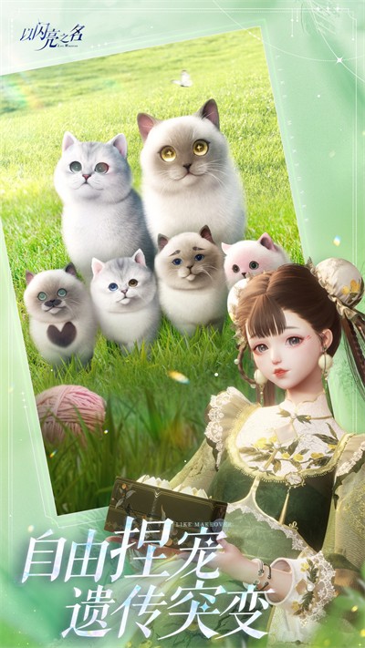 以闪亮之名(5)
