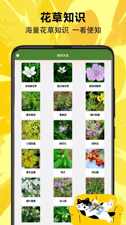 小羊吃小草(2)