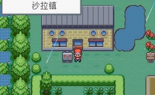 口袋妖怪格查尔(2)