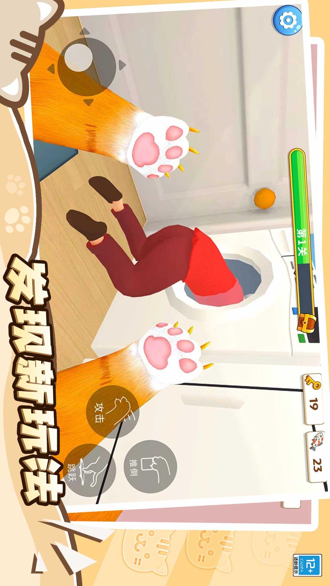 猫咪养成计划(1)