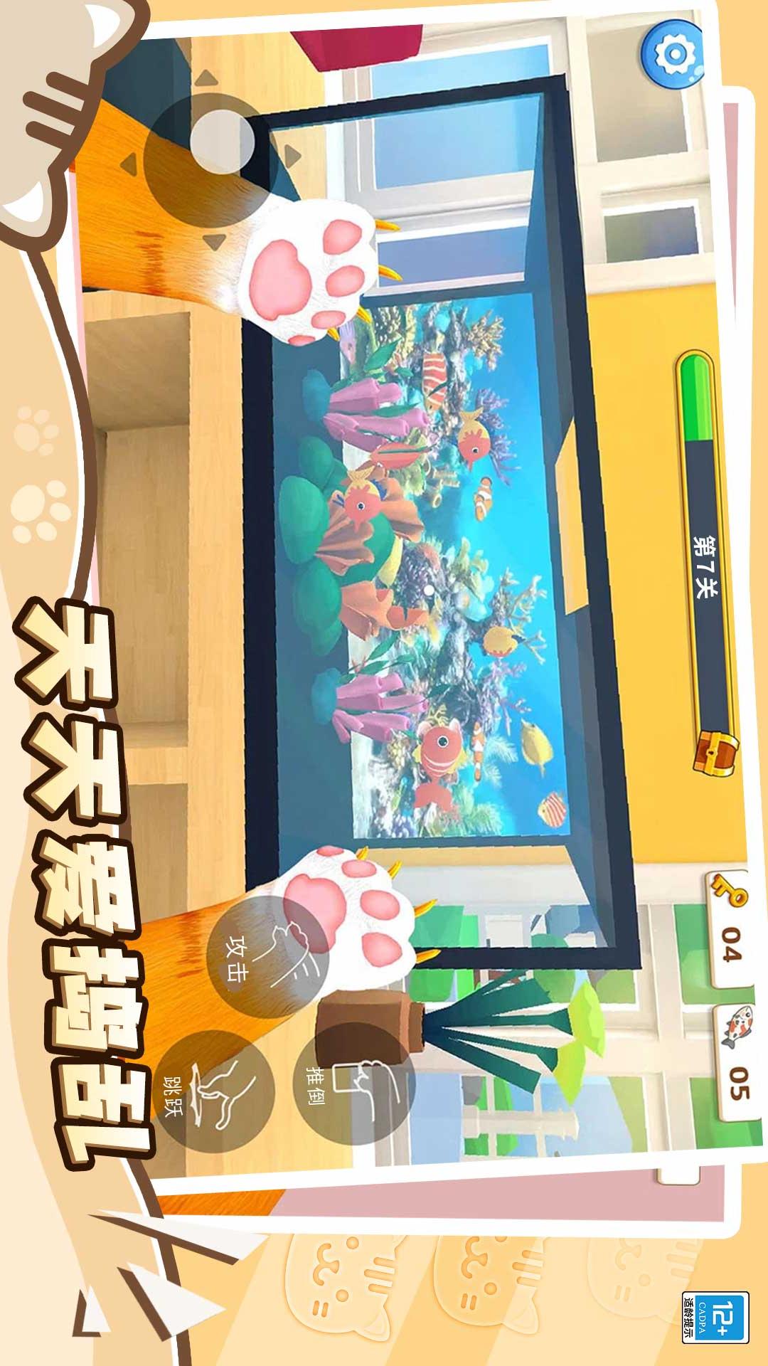 猫咪养成计划(3)