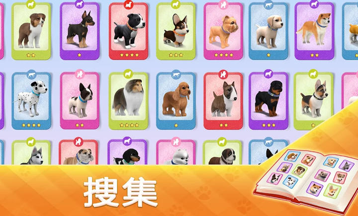 宠物狗之家(2)