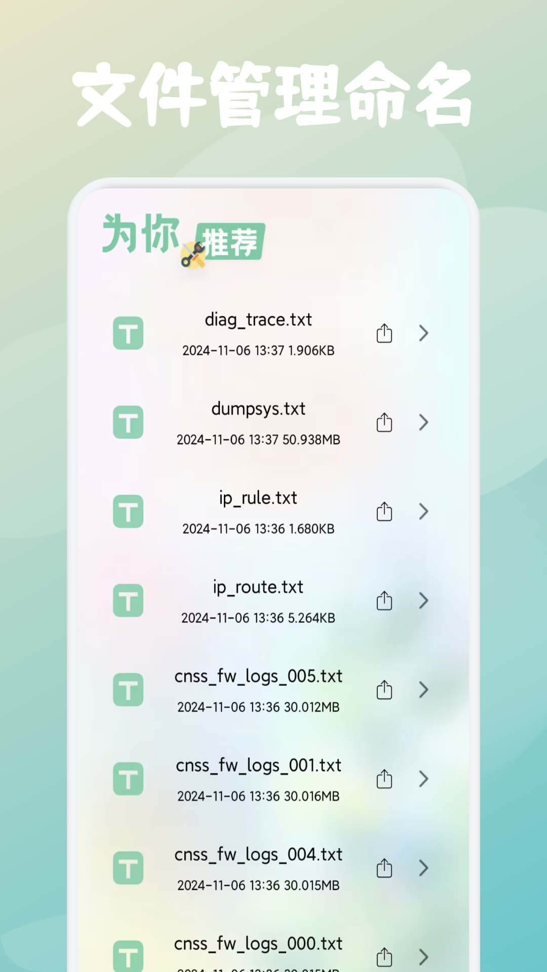 右豹助手(3)