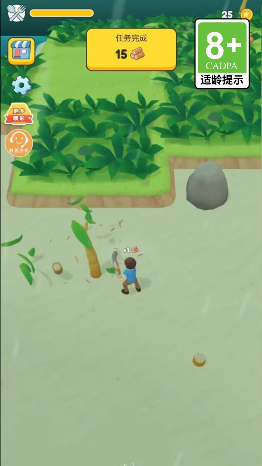 迷你小菜园(2)