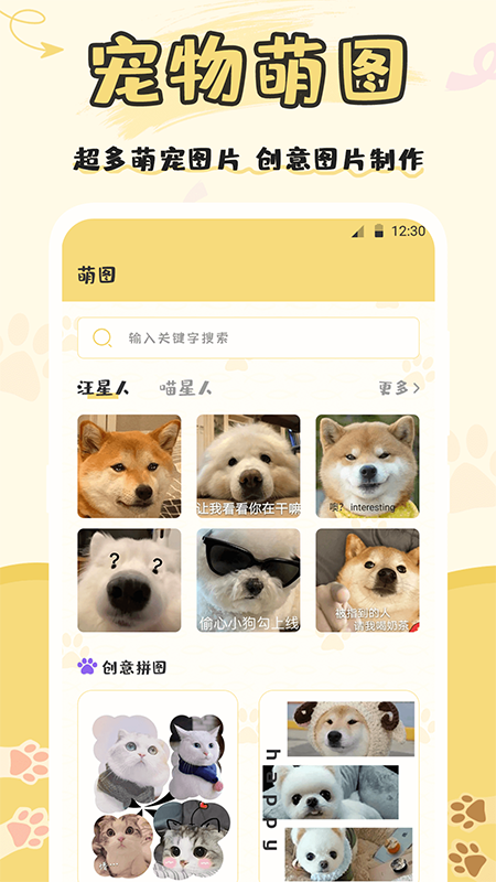 猫语交流(3)