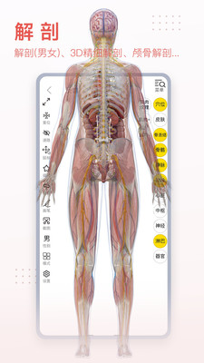 3d宠物解剖(1)
