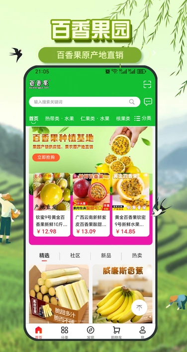 百香果(2)