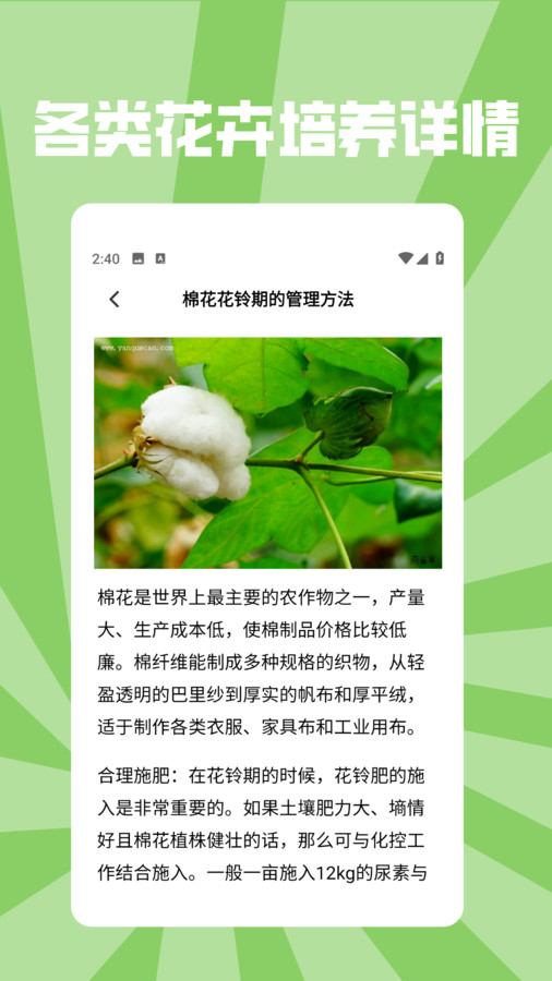 花朵物语pro(1)