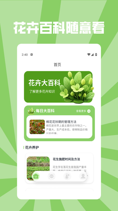 花朵物语pro(3)