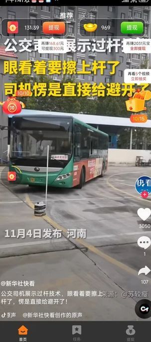 雏鱼(4)