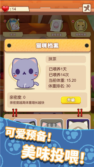养只大肥猫(3)