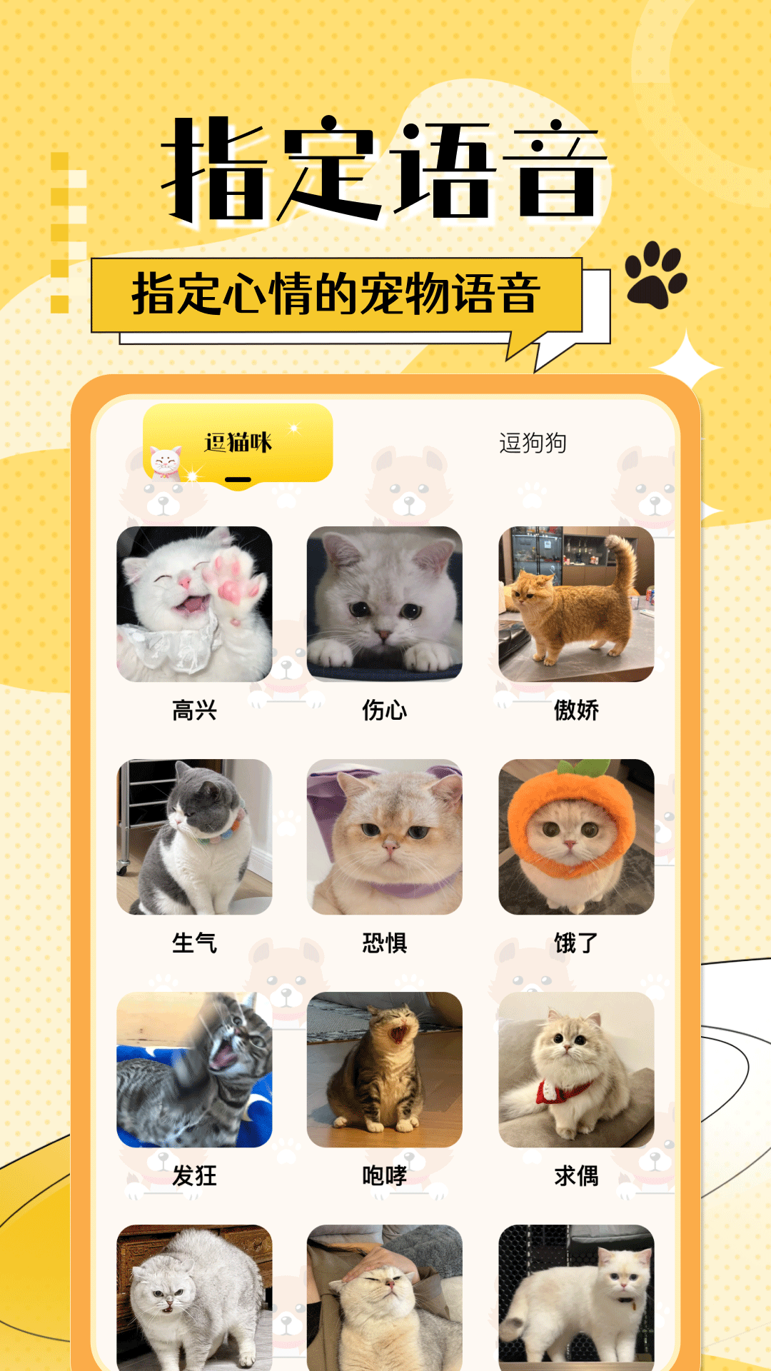 猫狗免费翻译器(2)