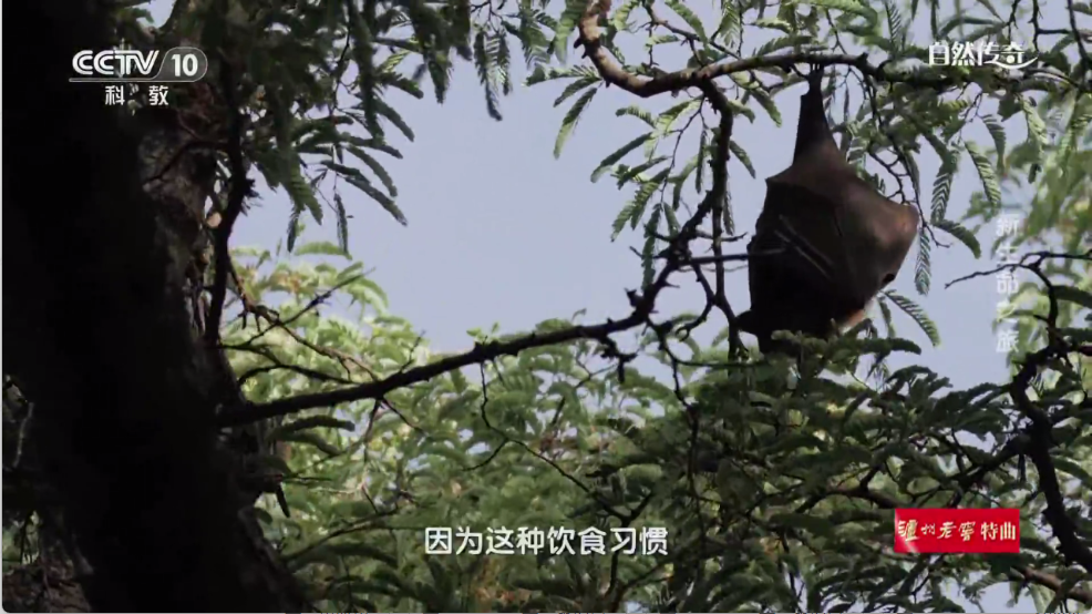 时光未央(3)