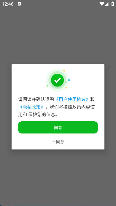 返鸭(3)