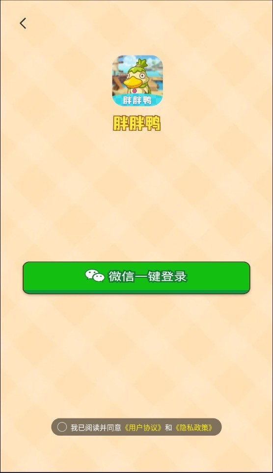 胖胖鸭(2)